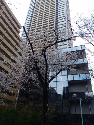 f:id:gotuteki:20190401051203j:plain