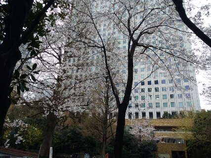 f:id:gotuteki:20190401052635j:plain