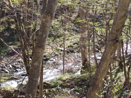 f:id:gotuteki:20190506112419j:plain