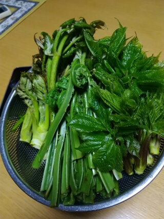 f:id:gotuteki:20190512152121j:plain