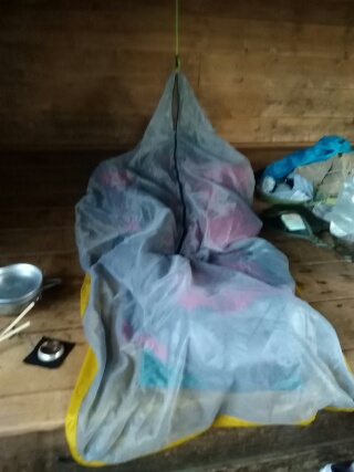 f:id:gotuteki:20190722233126j:plain