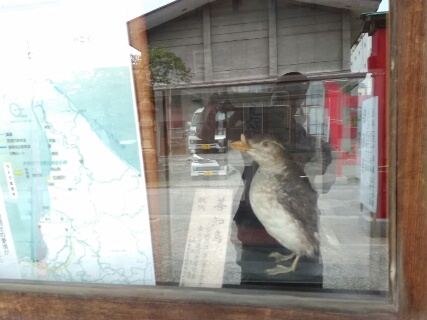 f:id:gotuteki:20190725011715j:plain