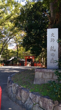 f:id:gotuteki:20191228212003j:plain