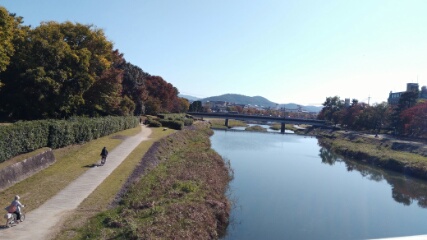 f:id:gotuteki:20191228212411j:plain