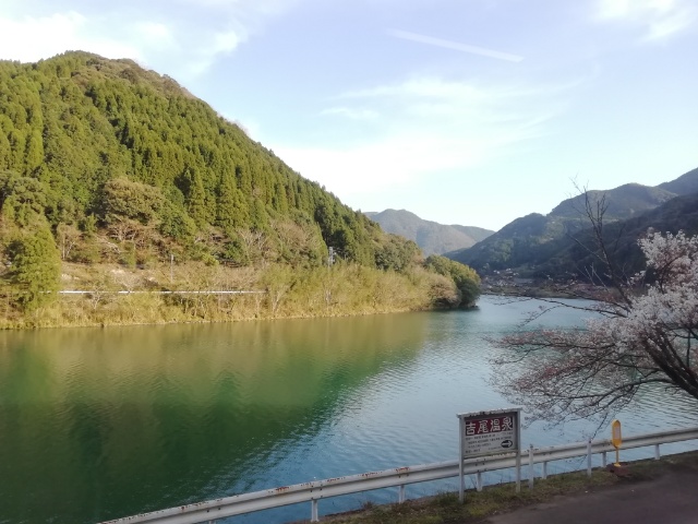 f:id:gotuteki:20200317174456j:plain