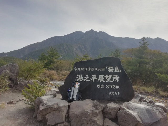 f:id:gotuteki:20200319132519j:plain