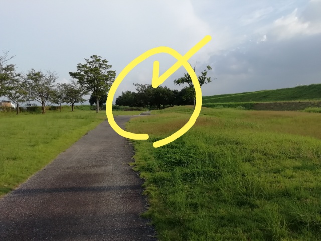 f:id:gotuteki:20200821203850j:plain