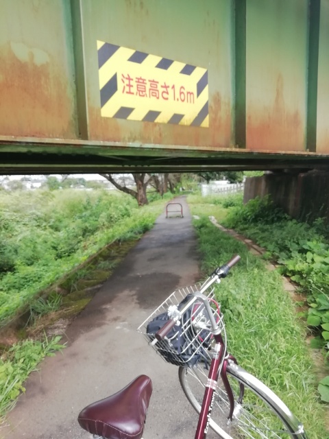 f:id:gotuteki:20200919132457j:plain