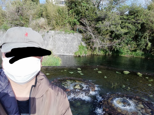 f:id:gotuteki:20210408171038j:plain