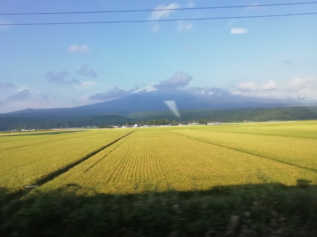 f:id:gotuteki:20210904014805j:plain