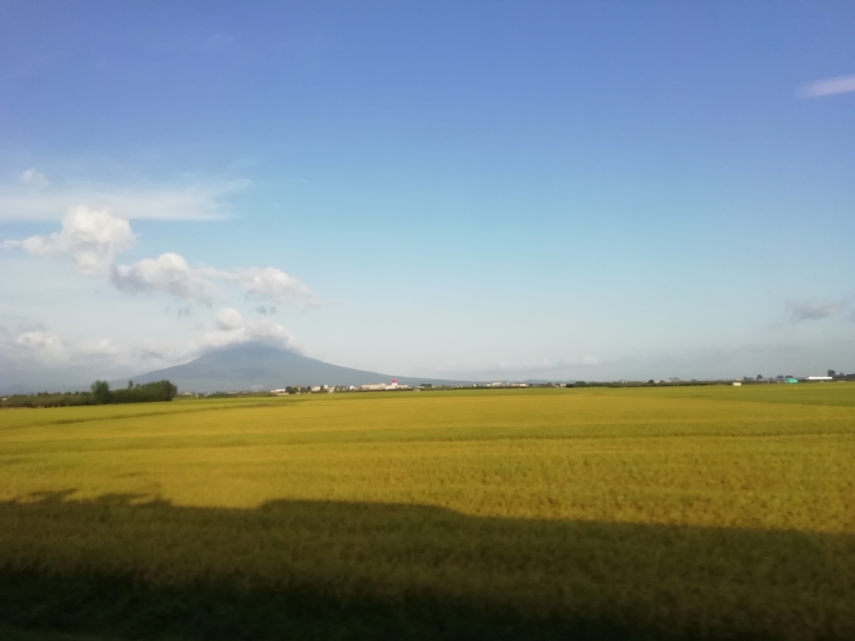 f:id:gotuteki:20210907153630j:plain