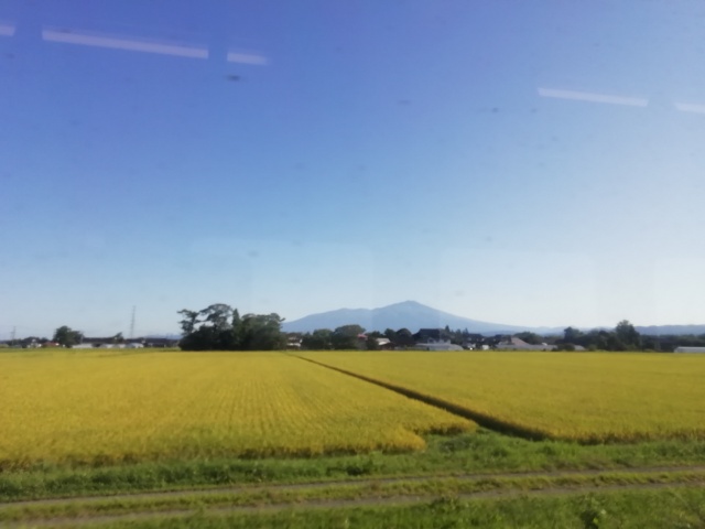 f:id:gotuteki:20210921174929j:plain