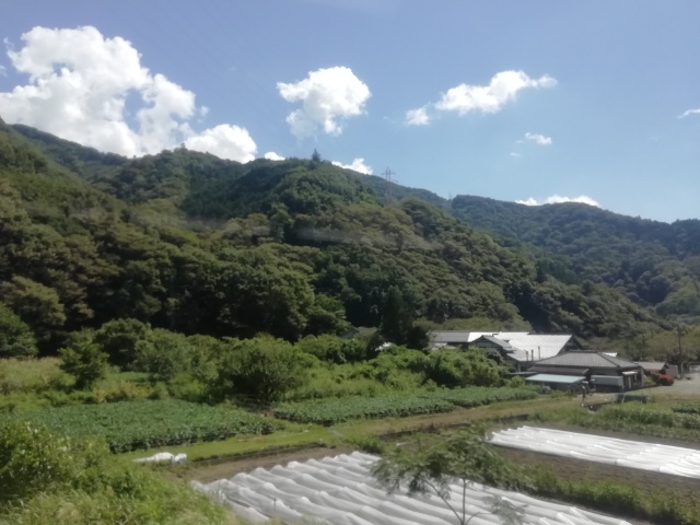 f:id:gotuteki:20210921180758j:plain