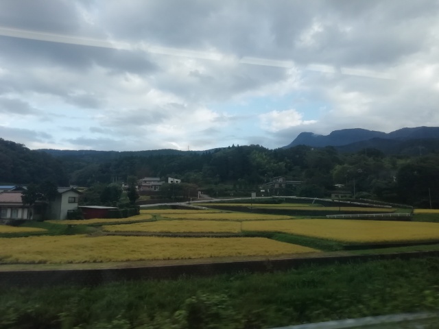 f:id:gotuteki:20210921181349j:plain