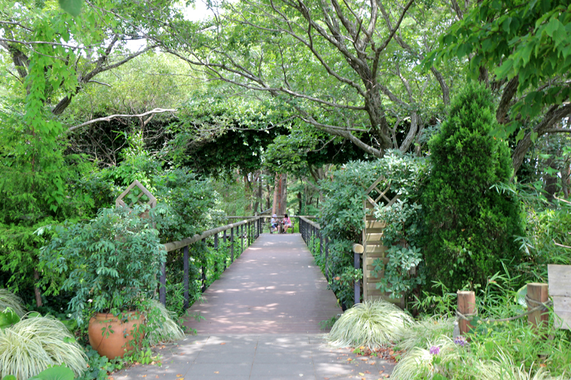 f:id:gouju:20160816204900j:plain