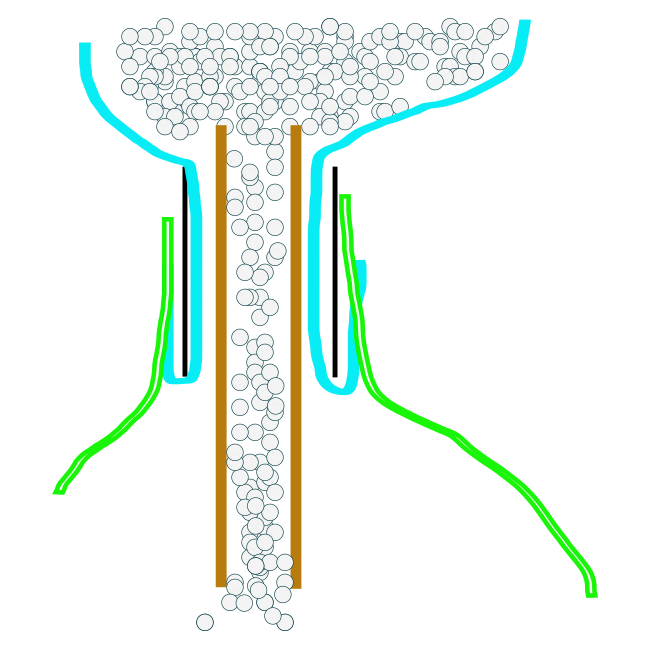 f:id:gouju:20160902225255p:plain f:id:gouju:20160902225255p:plain