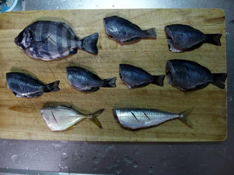 f:id:gouju:20161008223756j:plain