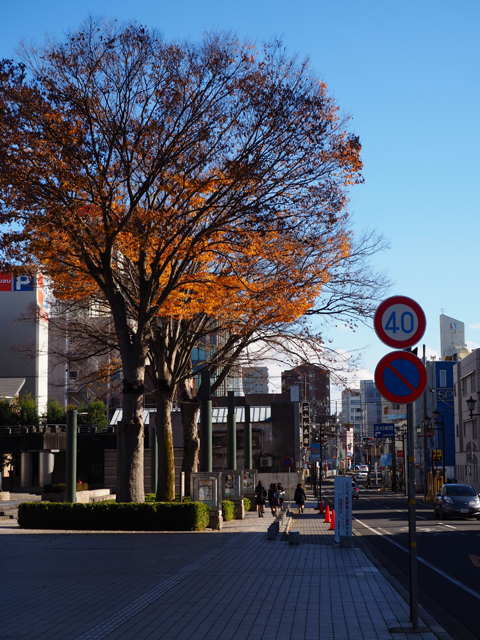 f:id:gouju:20171206161138j:plain f:id:gouju:20171206161138j:plain