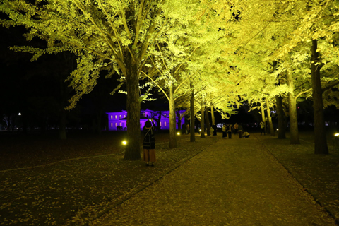f:id:gouju:20201123142449j:plain