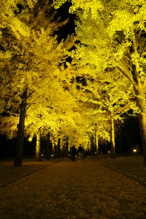 f:id:gouju:20201123142458j:plain