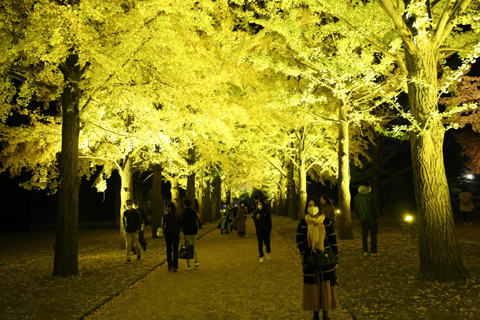 f:id:gouju:20201123142508j:plain