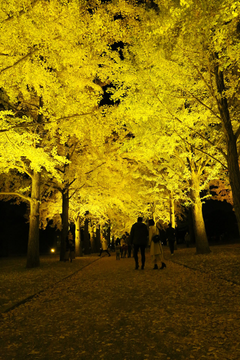 f:id:gouju:20201123142532j:plain