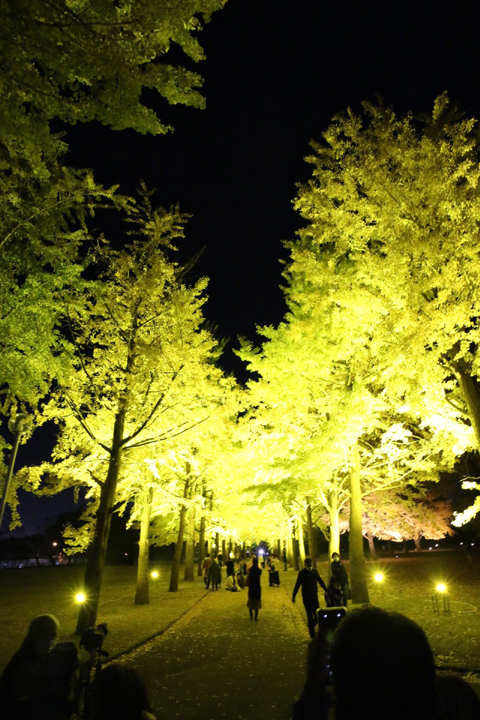 f:id:gouju:20201123142555j:plain