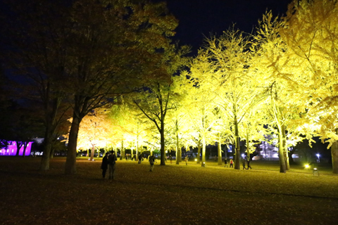 f:id:gouju:20201123142603j:plain