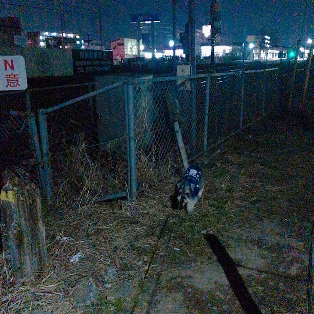 f:id:goukakuhonpo:20200211003457j:image