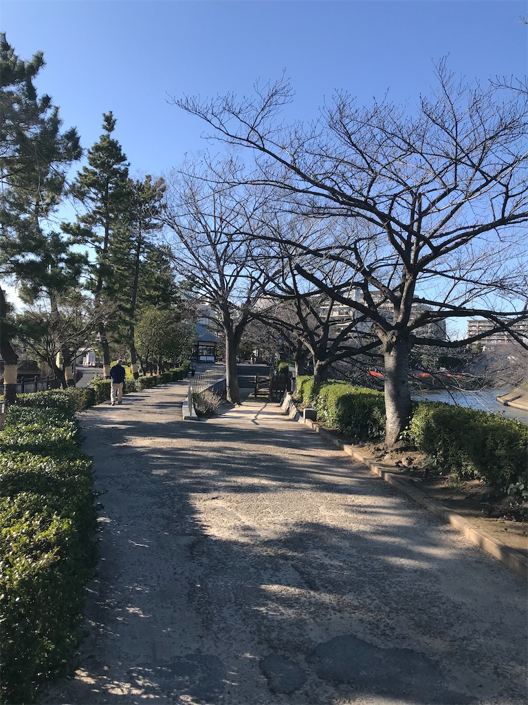 f:id:goukakuhonpo:20200220121723j:image