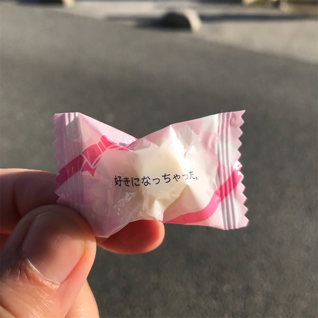 f:id:goukakuhonpo:20200220121740j:image