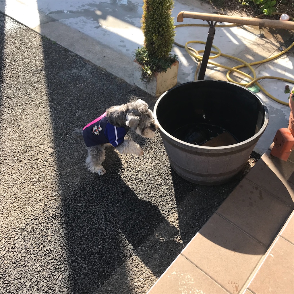 f:id:goukakuhonpo:20200320204234j:image