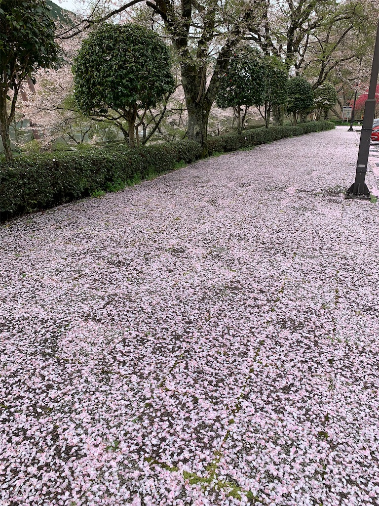 f:id:goukakuigakubu:20210405163838j:image