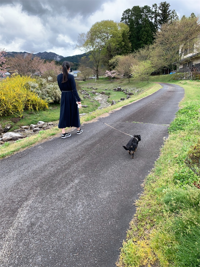 f:id:goukakuigakubu:20210414165718j:image