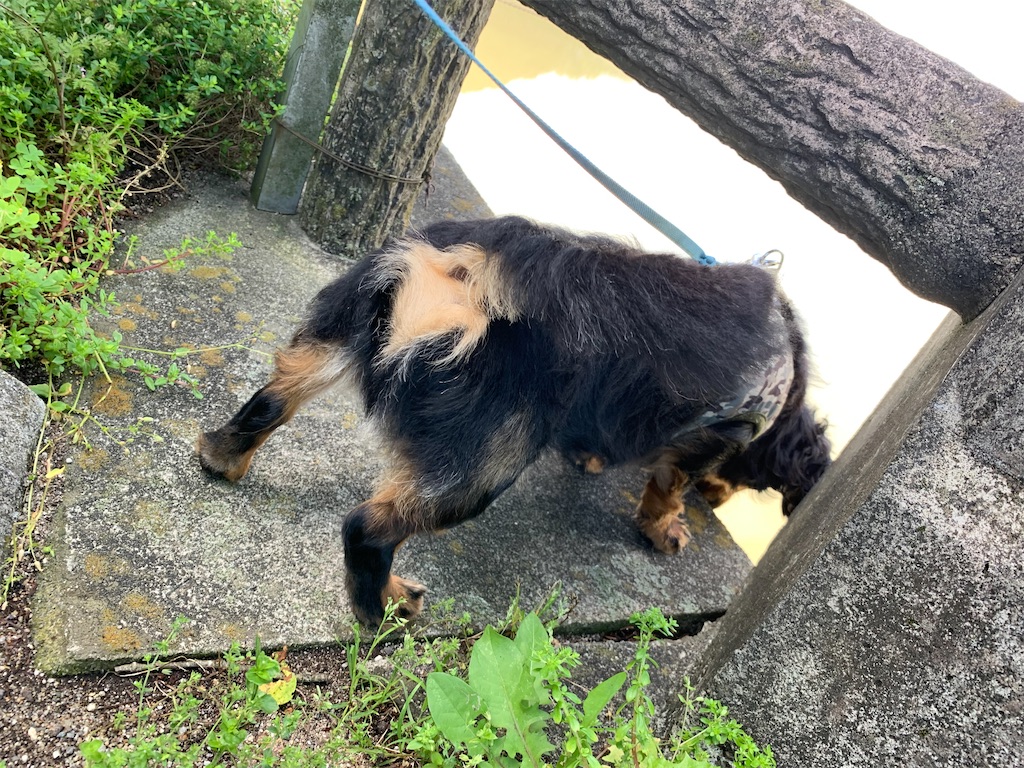 f:id:goukakuigakubu:20210523100516j:image