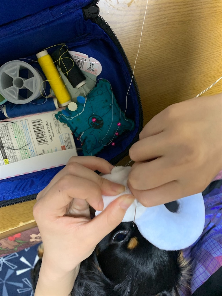 f:id:goukakuigakubu:20210605111017j:image f:id:goukakuigakubu:20210605111017j:image