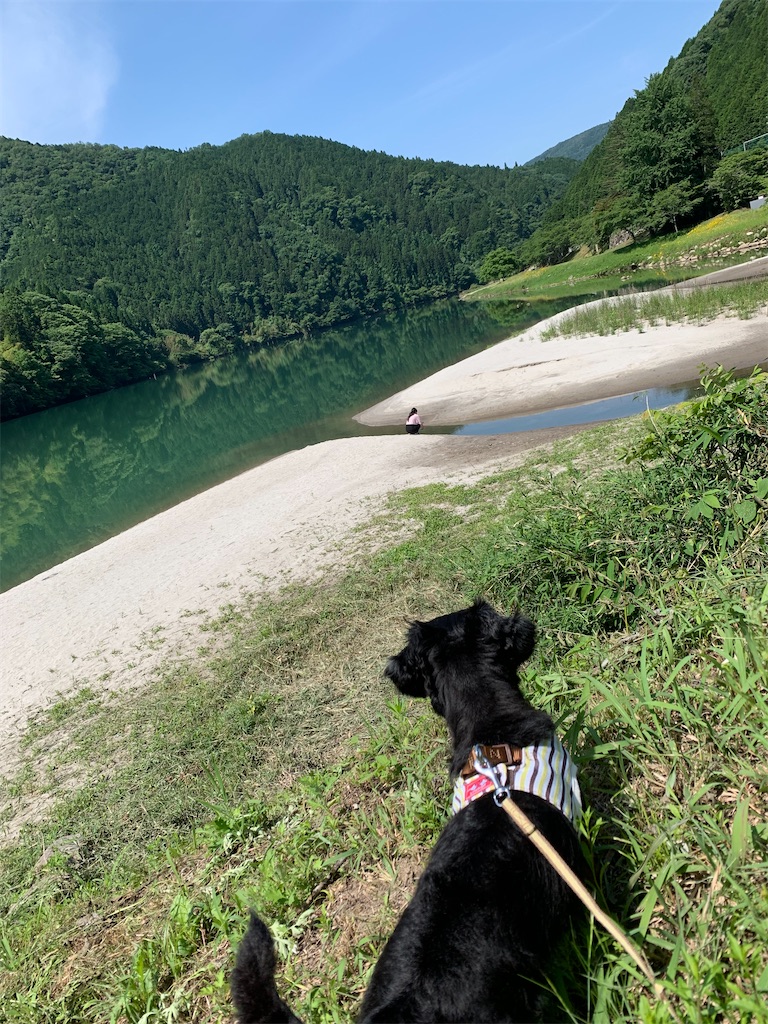 f:id:goukakuigakubu:20210607113322j:image