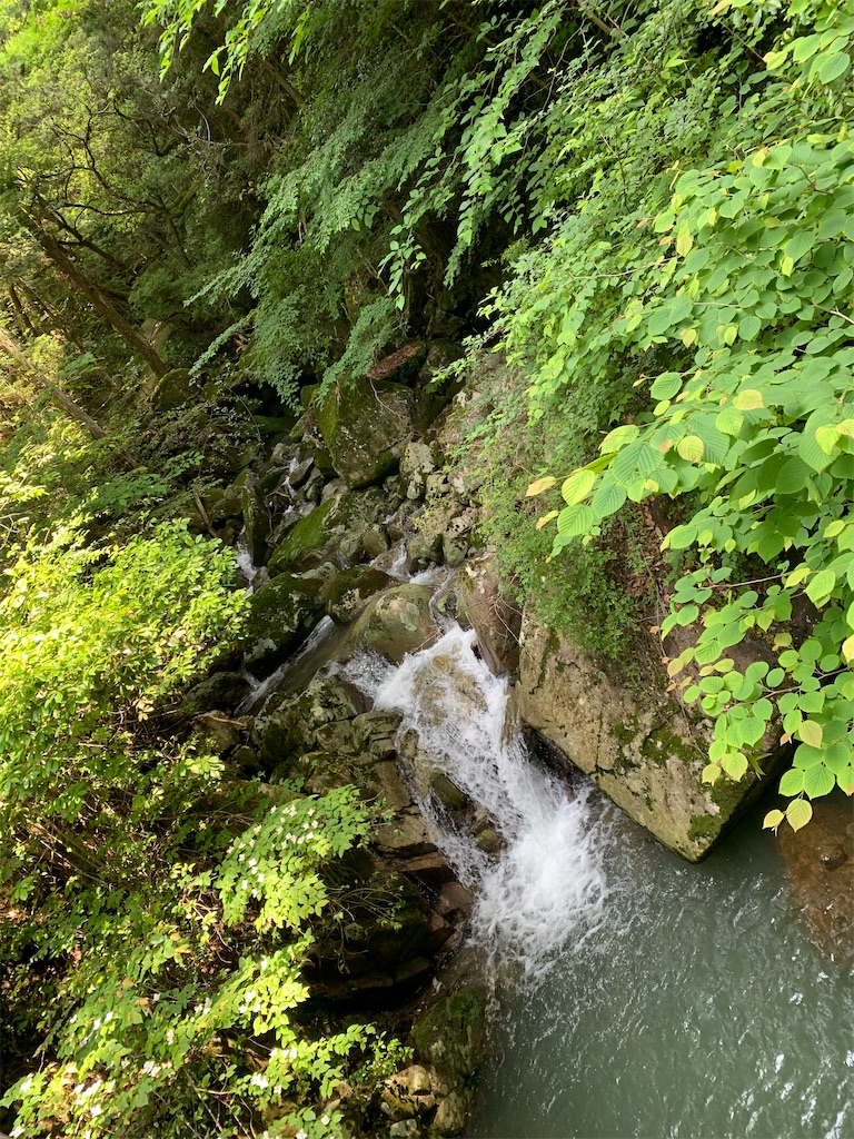 f:id:goukakuigakubu:20210607113329j:image