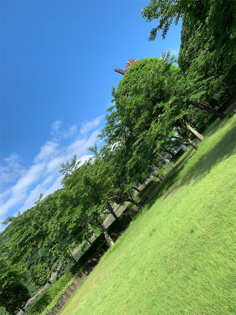 f:id:goukakuigakubu:20210610082653j:image f:id:goukakuigakubu:20210610082653j:image