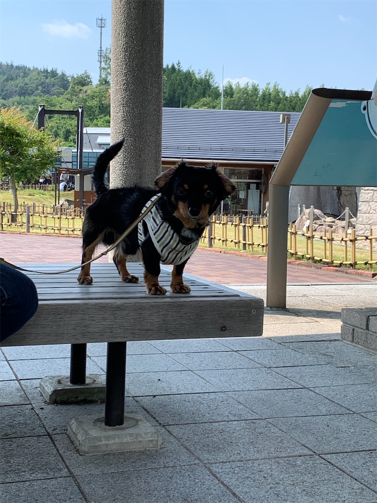 f:id:goukakuigakubu:20210611080524j:image