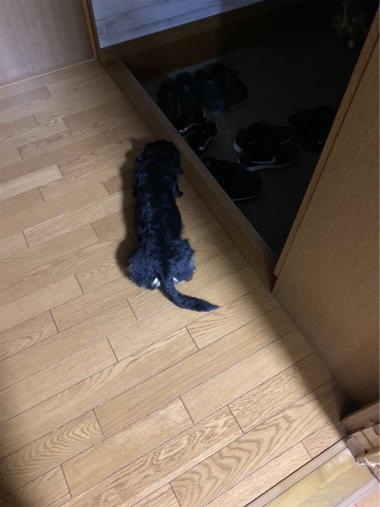 f:id:goukakuigakubu:20210613074822j:image