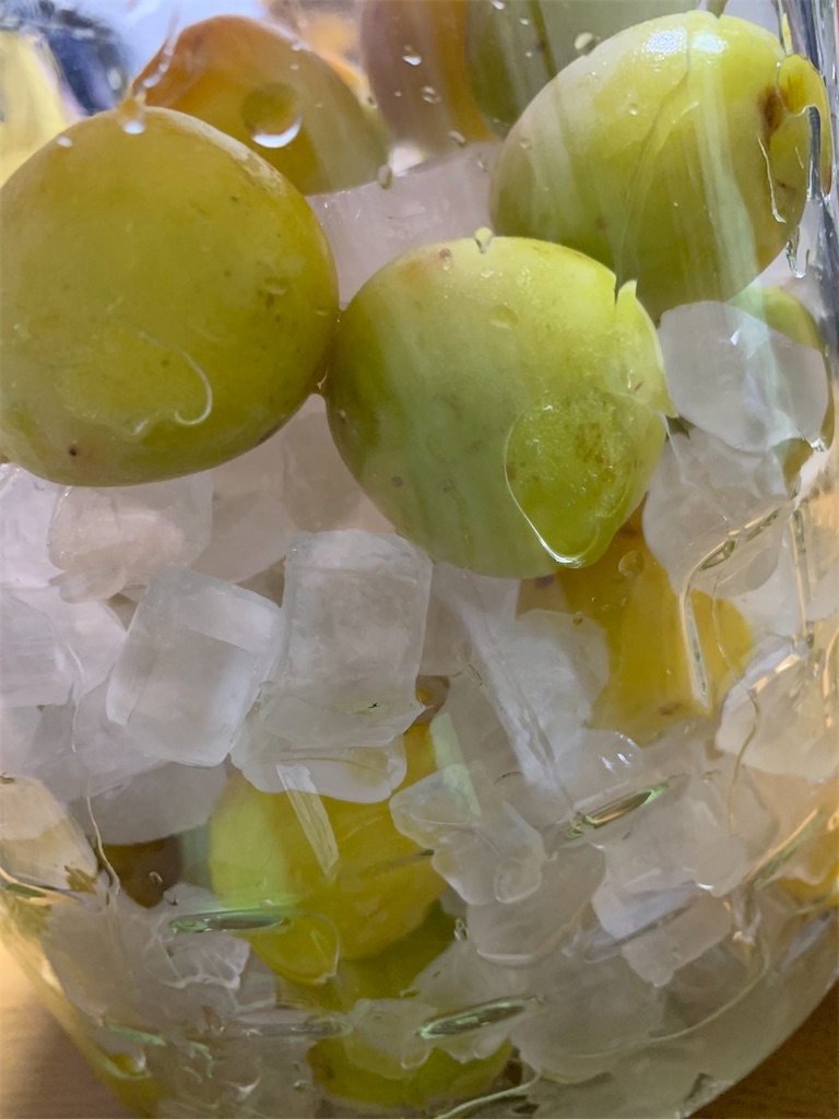 f:id:goukakuigakubu:20210618123702j:image f:id:goukakuigakubu:20210618123702j:image