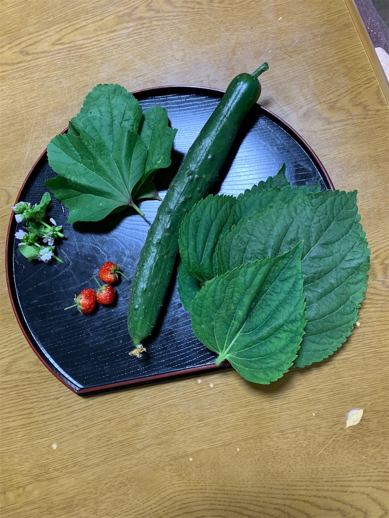 f:id:goukakuigakubu:20210618123758j:image f:id:goukakuigakubu:20210618123758j:image