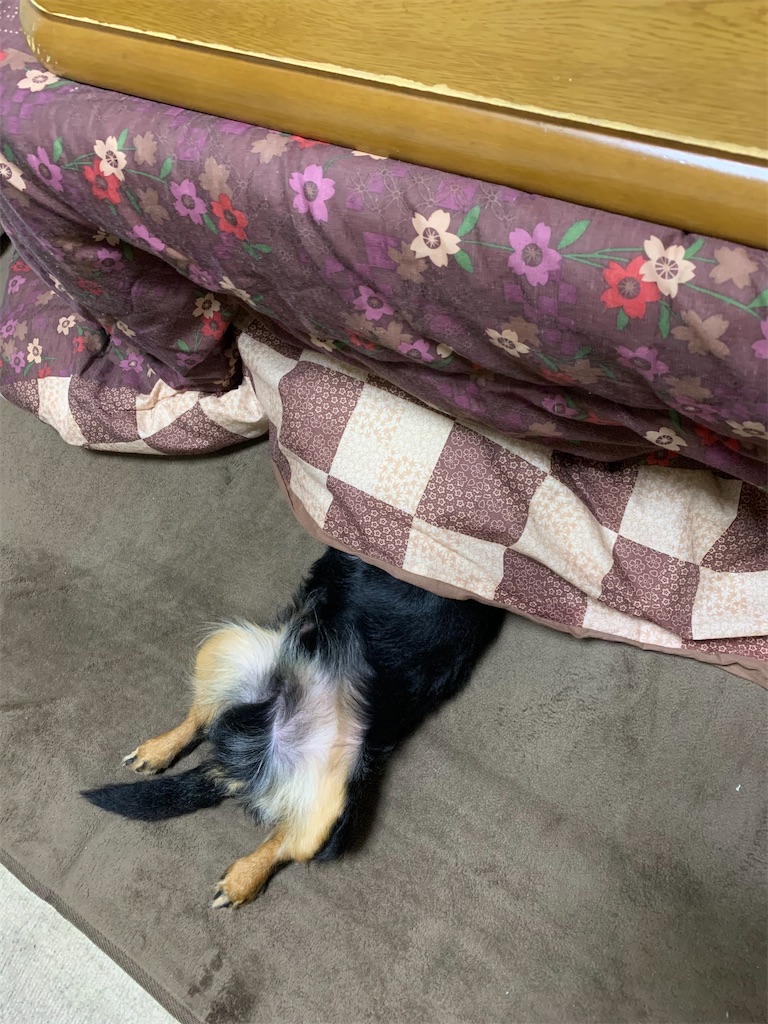 f:id:goukakuigakubu:20210619101018j:image