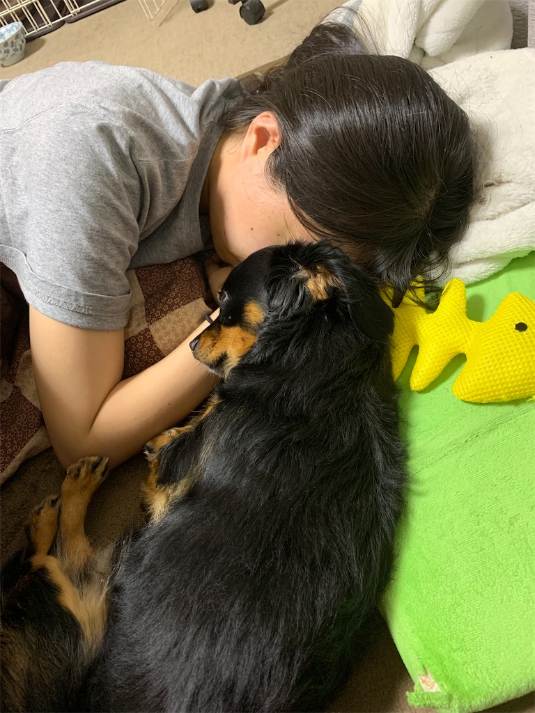 f:id:goukakuigakubu:20210625140912j:image