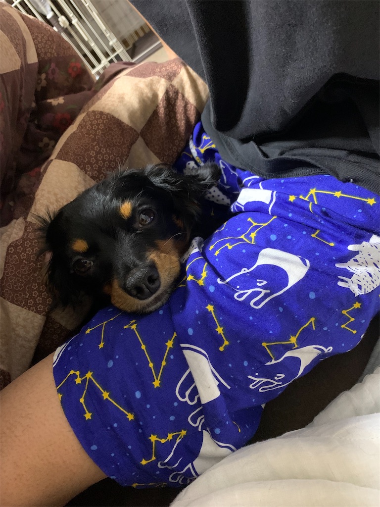 f:id:goukakuigakubu:20210627113614j:image