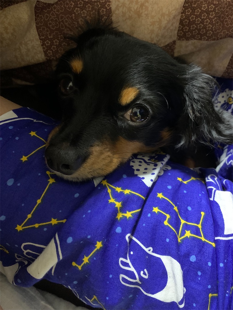 f:id:goukakuigakubu:20210627113617j:image