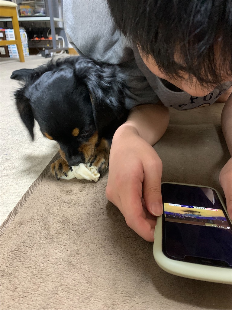 f:id:goukakuigakubu:20210705095901j:image