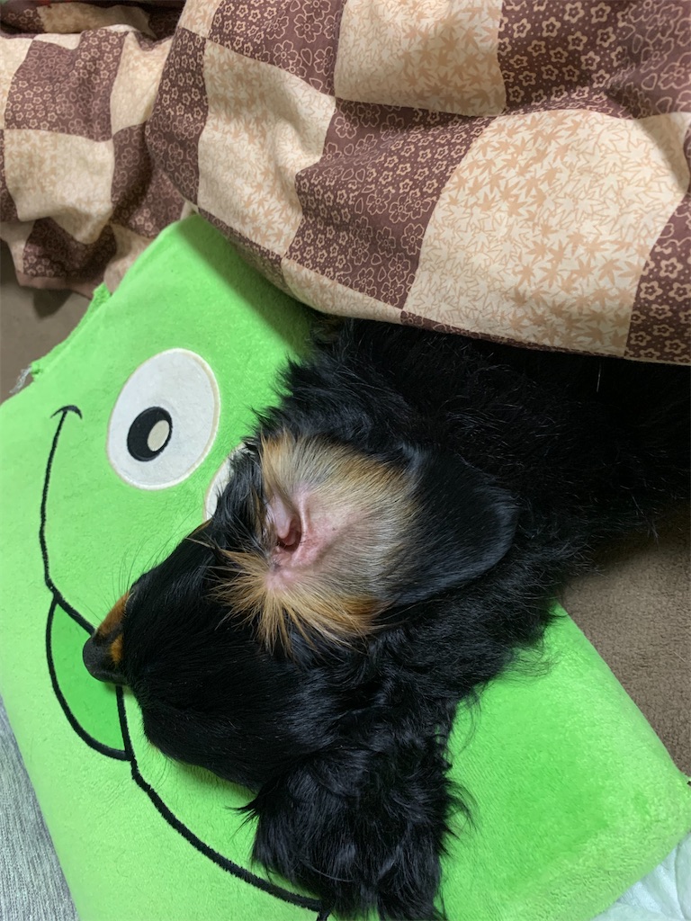 f:id:goukakuigakubu:20210709112853j:image