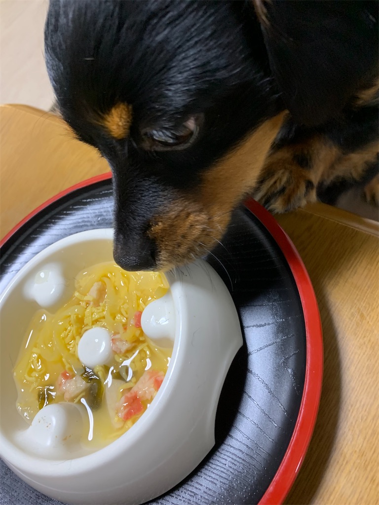 f:id:goukakuigakubu:20210710101730j:image